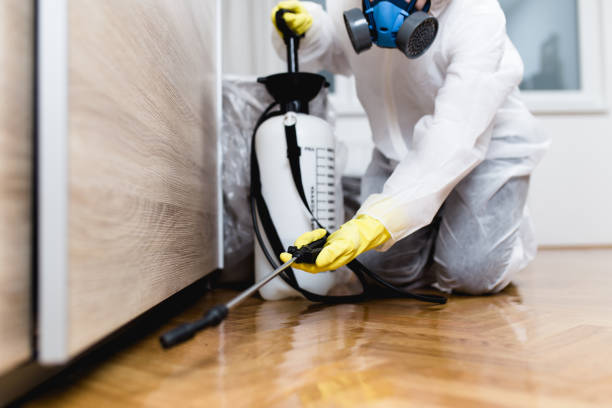Best Bed Bug Extermination  in Jerome, IL