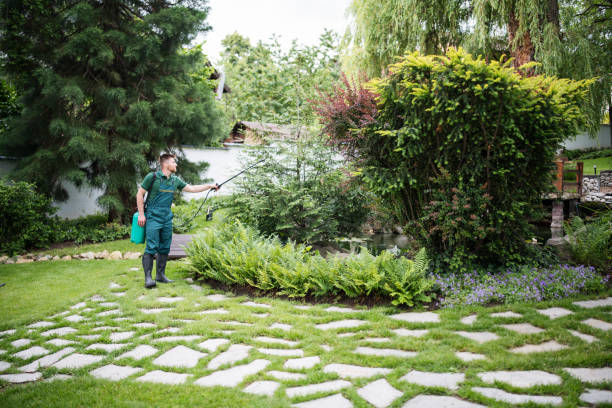 Best Affordable Pest Control Services  in Jerome, IL