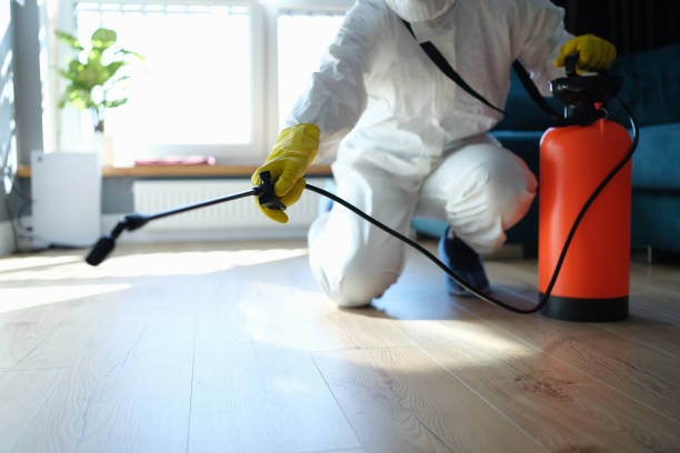 Best Mosquito Control Services  in Jerome, IL