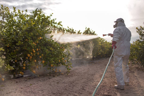 Best Affordable Exterminators  in Jerome, IL