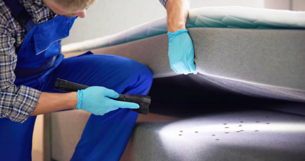 Best Cockroach Control Services  in Jerome, IL