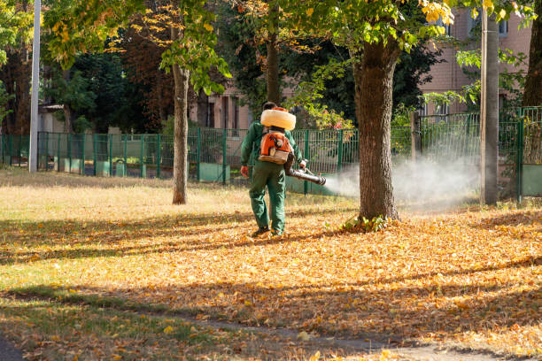 Wasp Removal Services in Jerome, IL