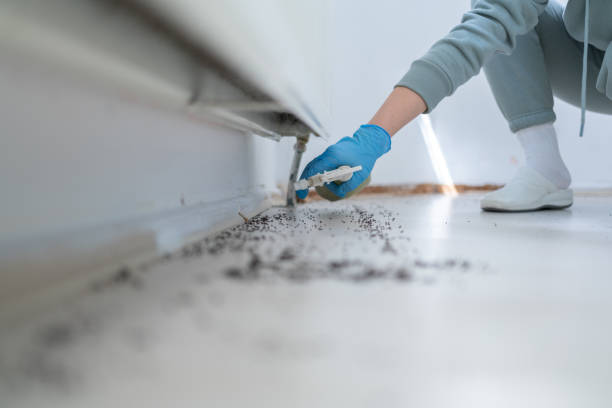 Flea Control Services in Jerome, IL